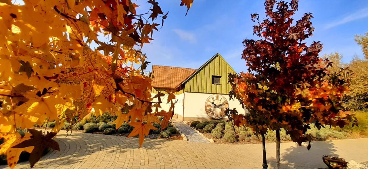 Pajta Apartman Es Vendeghaz Tata Buitenkant foto